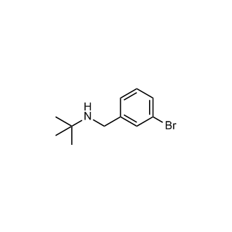 N Bromobenzyl N Tert Butyl Amine Chemscene Llc