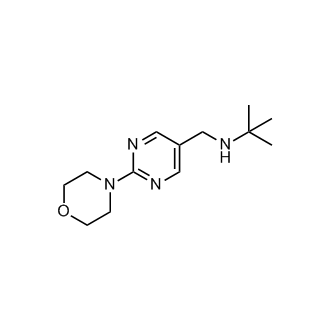 Methyl N Morpholinopyrimidin Yl Methyl Propan