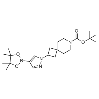 2304635 20 7 Tert Butyl 2 4 4 4 5 5 Tetramethyl 1 3 2 Dioxaborolan