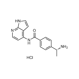 Y-33075 hydrochloride|CS-0002430
