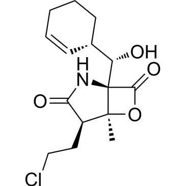CS-0002986