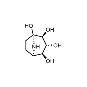 Calystegine B2|CS-0003156