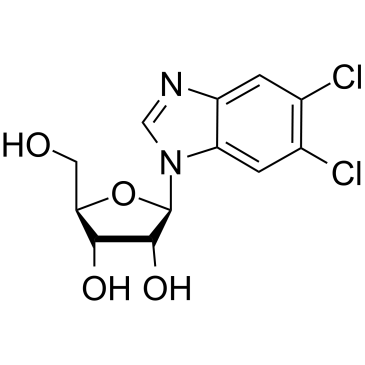 5,6-Dichlorobenzimidazole riboside|CS-0003334