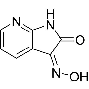 1H-Pyrrolo[2,3-b]pyridine-2,3-dione, 3-oxime|CS-0004119