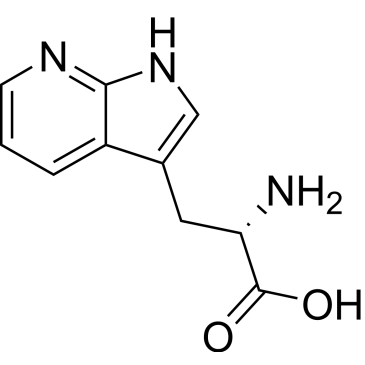 L-7-Azatryptophan|CS-0004126