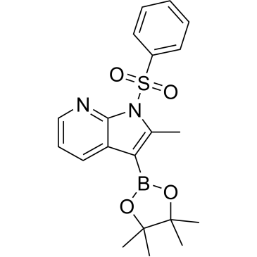 1-(Benzenesulfonyl)-2-methyl-3-(tetramethyl-1,3,2-dioxaborolan-2-yl)-1H-pyrrolo[2,3-b]pyridine|CS-0004196