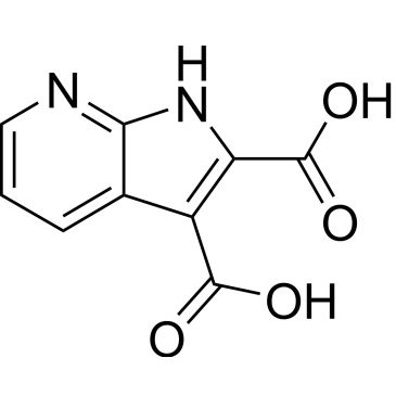 1H-Pyrrolo[2,3-b]pyridine-2,3-dicarboxylic acid|CS-0004369