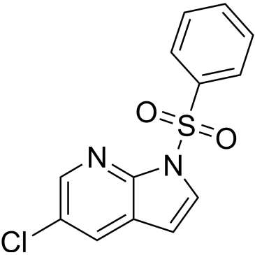 1H-Pyrrolo[2,3-b]pyridine, 5-chloro-1-(phenylsulfonyl)-|CS-0004562