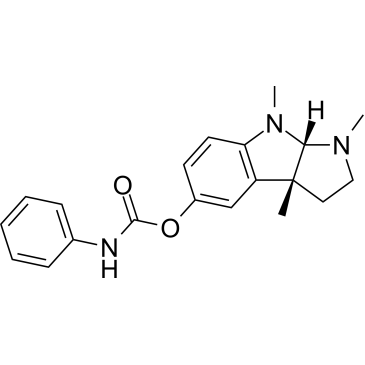 CS-0006062