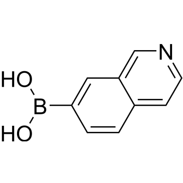 Isoquinolin-7-ylboronic acid|CS-0006100