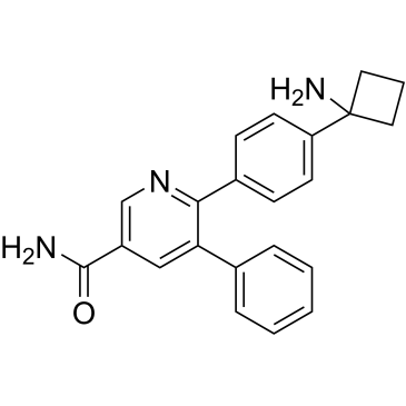 CS-0007403