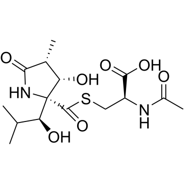 CS-0007504