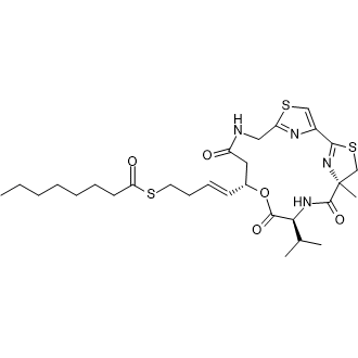 Largazole|CS-0008539