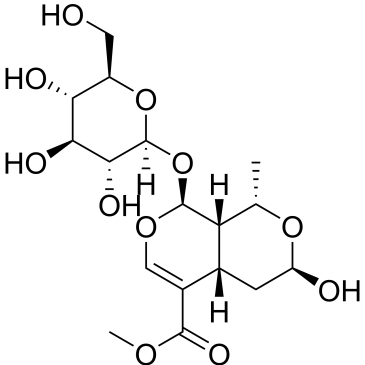 CS-0009065