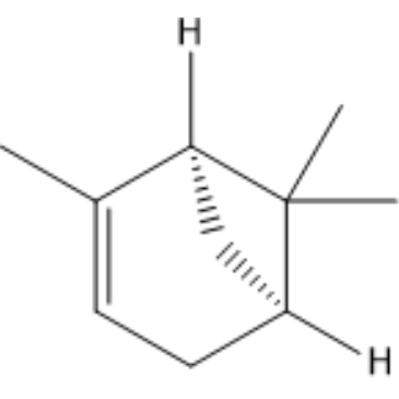 CS-0009077