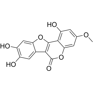 CS-0009079