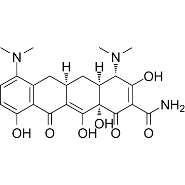 Minocycline|CS-0009521