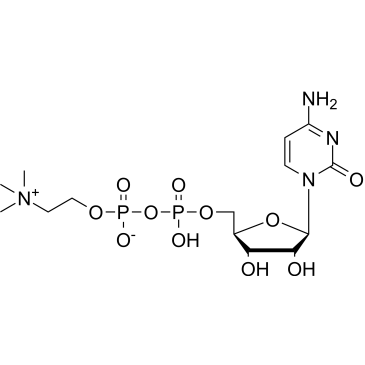 Citicoline|CS-0009633
