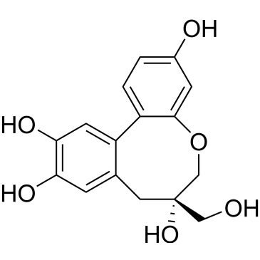 CS-0009806