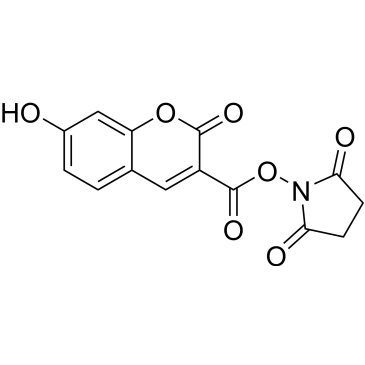 7-Hydroxycoumarin-3-carboxylic acid N-succinimidyl ester|CS-0010025