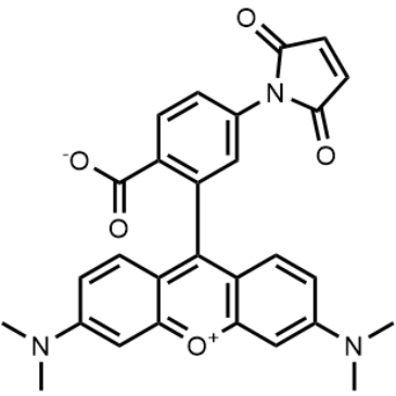 Tetramethylrhodamine-5-maleimide|CS-0010059