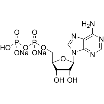 Adenosine 5'-diphosphate disodium|CS-0010115
