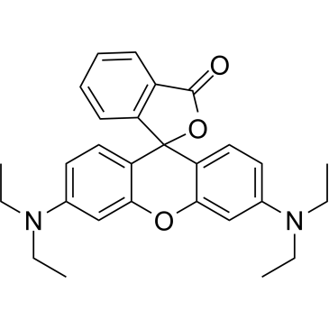 Rhodamine B base|CS-0010216