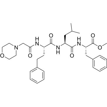 (S)-methyl 2-((S)-4-methyl-2-((S)-2-(2-morpholinoacetamido)-4-phenylbutanamido)pentanamido)-3-phenylpropanoate|CS-0010244