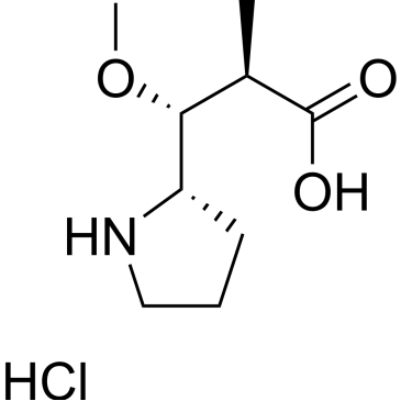 (2R,3R)-3-Methoxy-2-methyl-3-((S)-pyrrolidin-2-yl)propanoic acid hydrochloride|CS-0010517