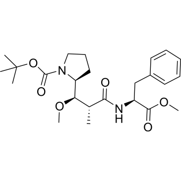 MMAF intermediate 1|CS-0011377