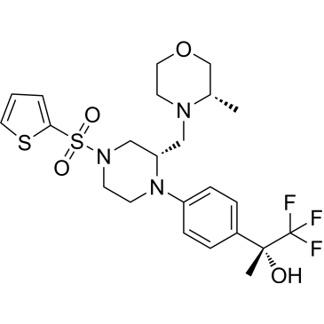 CS-0012081