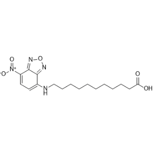 NBD-undecanoic acid|CS-0012212