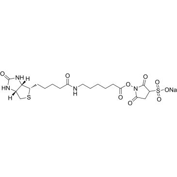 Sulfo-NHS-LC-Biotin sodium|CS-0012224