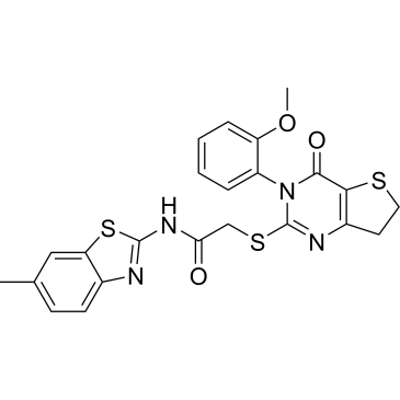 CS-0012738