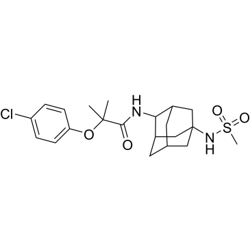 CS-0013010