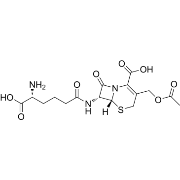 Cephalosporin C|CS-0013068