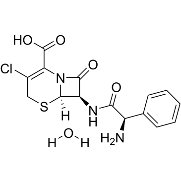 Cefaclor monohydrate|CS-0013096