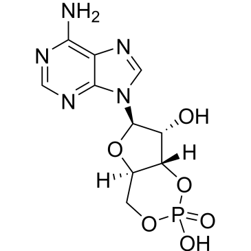 CS-0013299