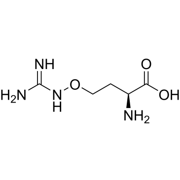 L-Canavanine|CS-0013477