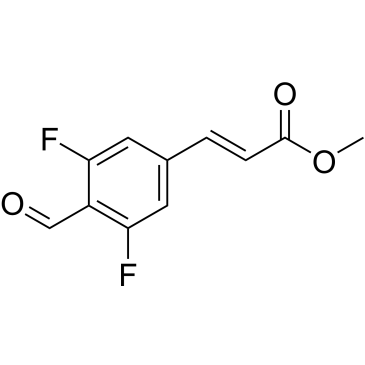 CS-0013505