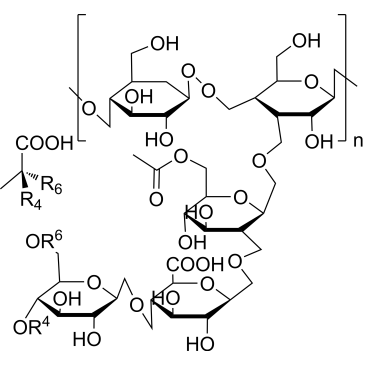 Xanthan gum|CS-0013688