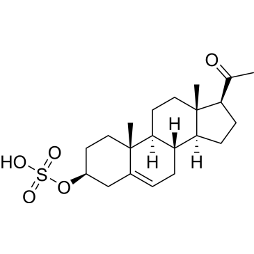 CS-0013751
