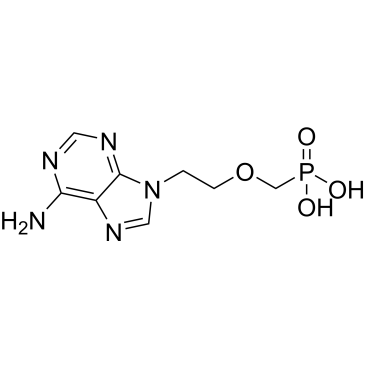 CS-0013877