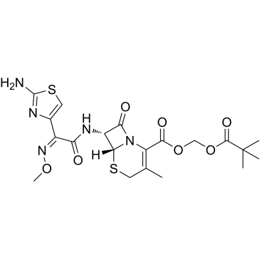 Cefetamet pivoxyl|CS-0013956