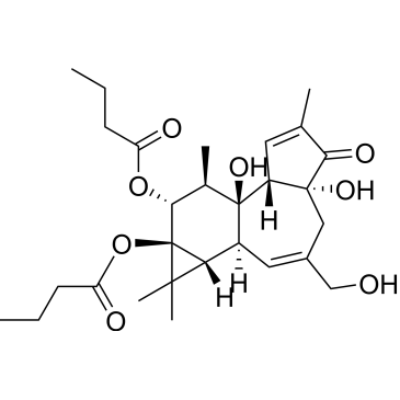 CS-0014826