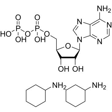 Adenosine 5'-diphosphate (dicyclohexylammonium)|CS-0015205