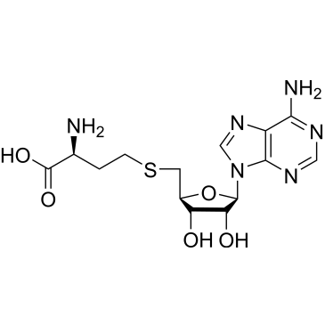 SAH|CS-0015632