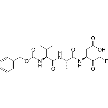 CS-0015633