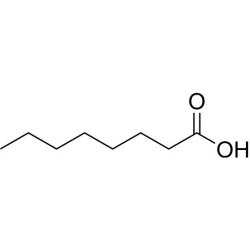 Octanoic acid|CS-0016549