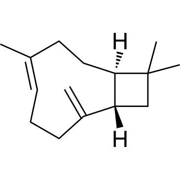 CS-0016839